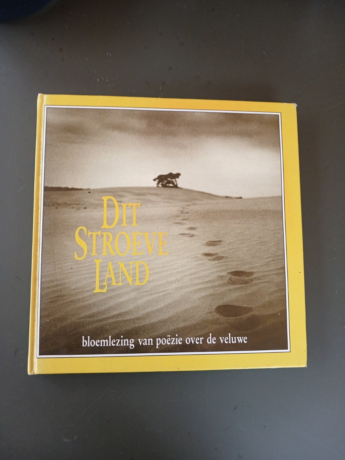 Dit Stroeve Land: Bloemlezing van poëzie over de Veluwe, Ophalen of Verzenden, Zo goed als nieuw, Diverse auteurs, Meerdere auteurs