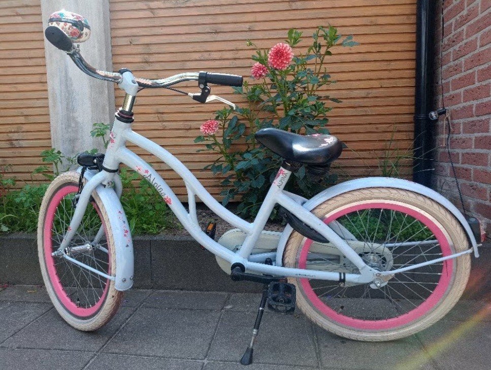 Meisjesfiets Alpina Ocean - 20 inch, Fietsen en Brommers, Ophalen, Terugtraprem, Gebruikt, Alpina