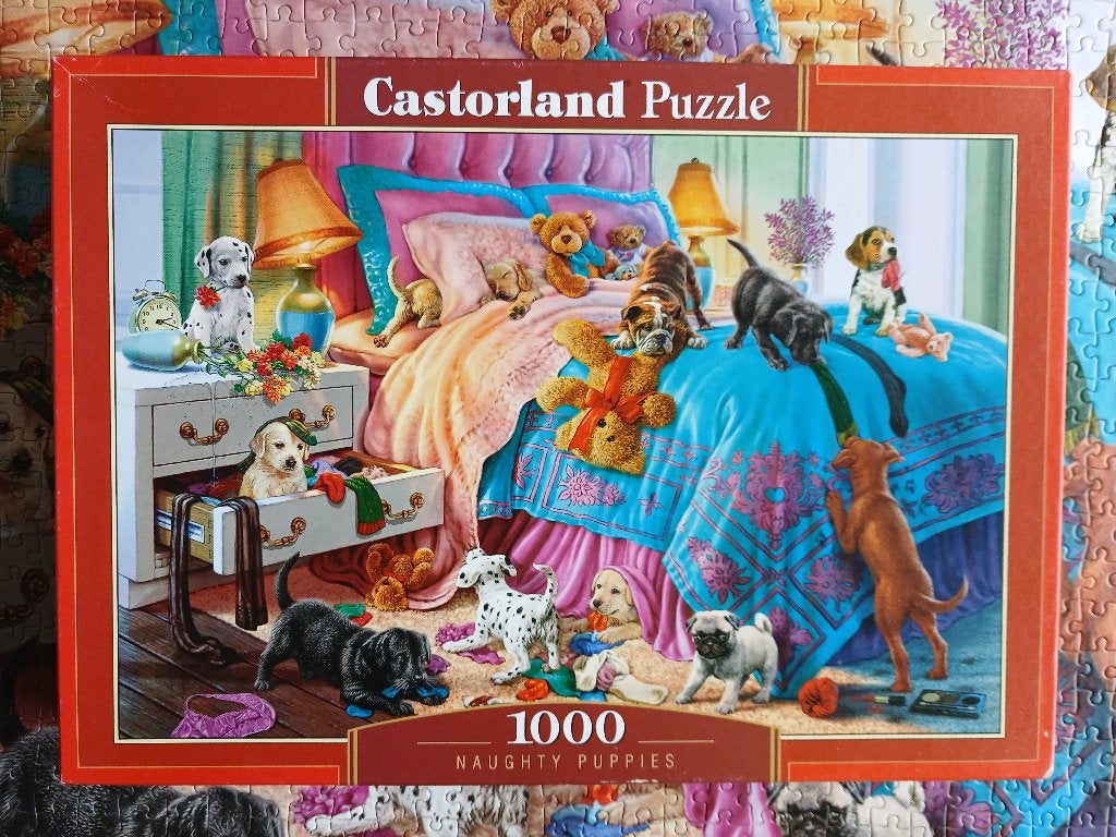 Castorland puzzel, Ophalen of Verzenden, 500 t/m 1500 stukjes, Gebruikt, Legpuzzel
