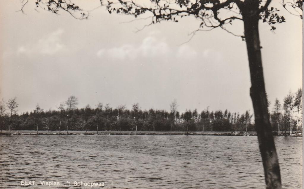Eext    Visplas ..Schoapnwas, Ophalen of Verzenden, 1940 tot 1960, Ongelopen, Drenthe