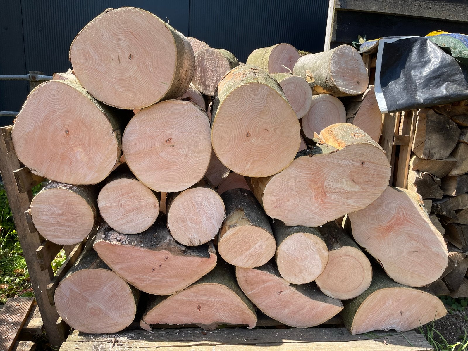 Essenhout blokken, ruim 1 m³, deels ingedroogd, Tuin en Terras, Haardhout, Minder dan 3 m³, Ophalen of Verzenden, Essenhout, Blokken