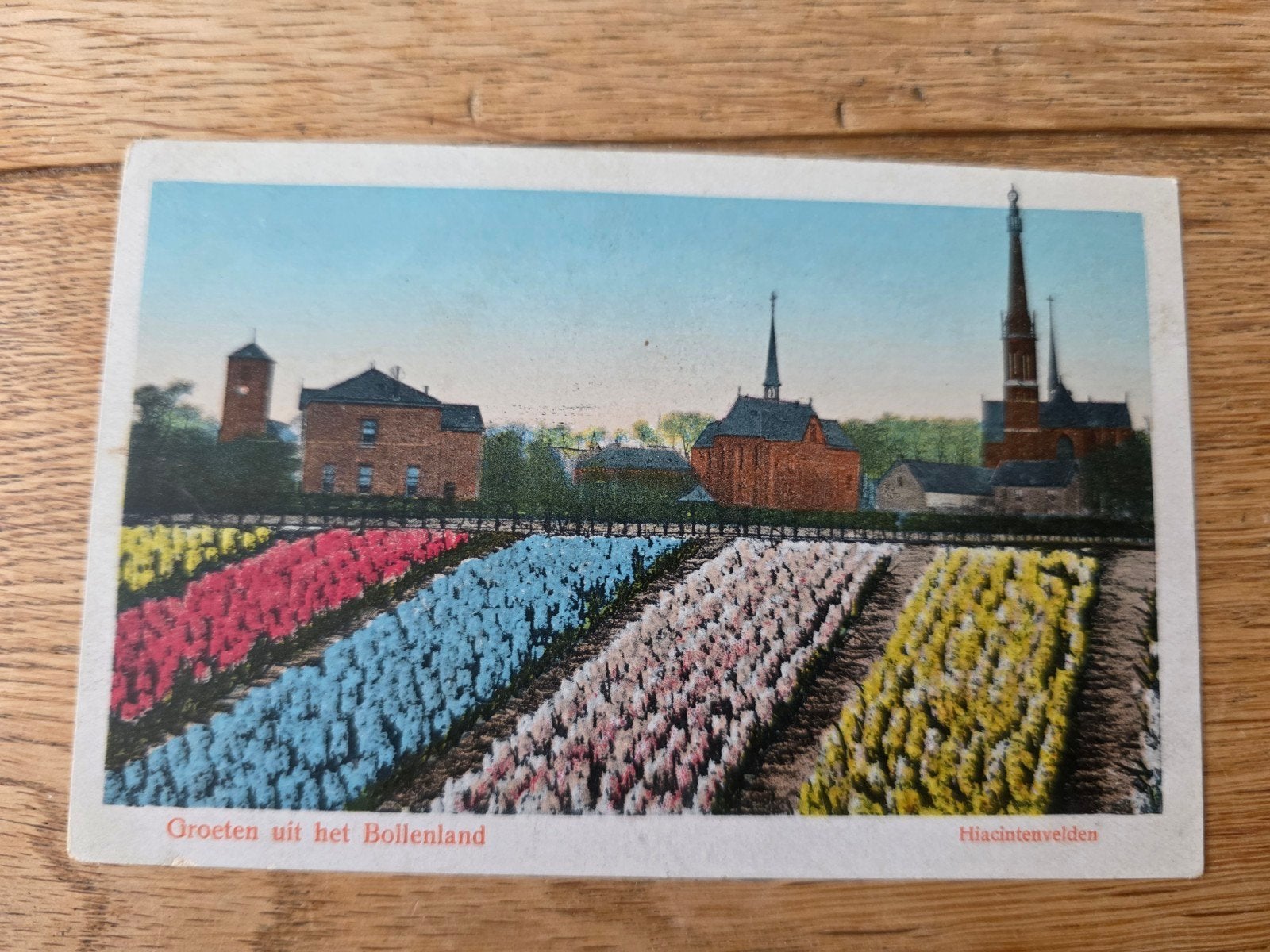 Bollenvelden Haarlem en omstreken, Verzamelen, Ophalen of Verzenden