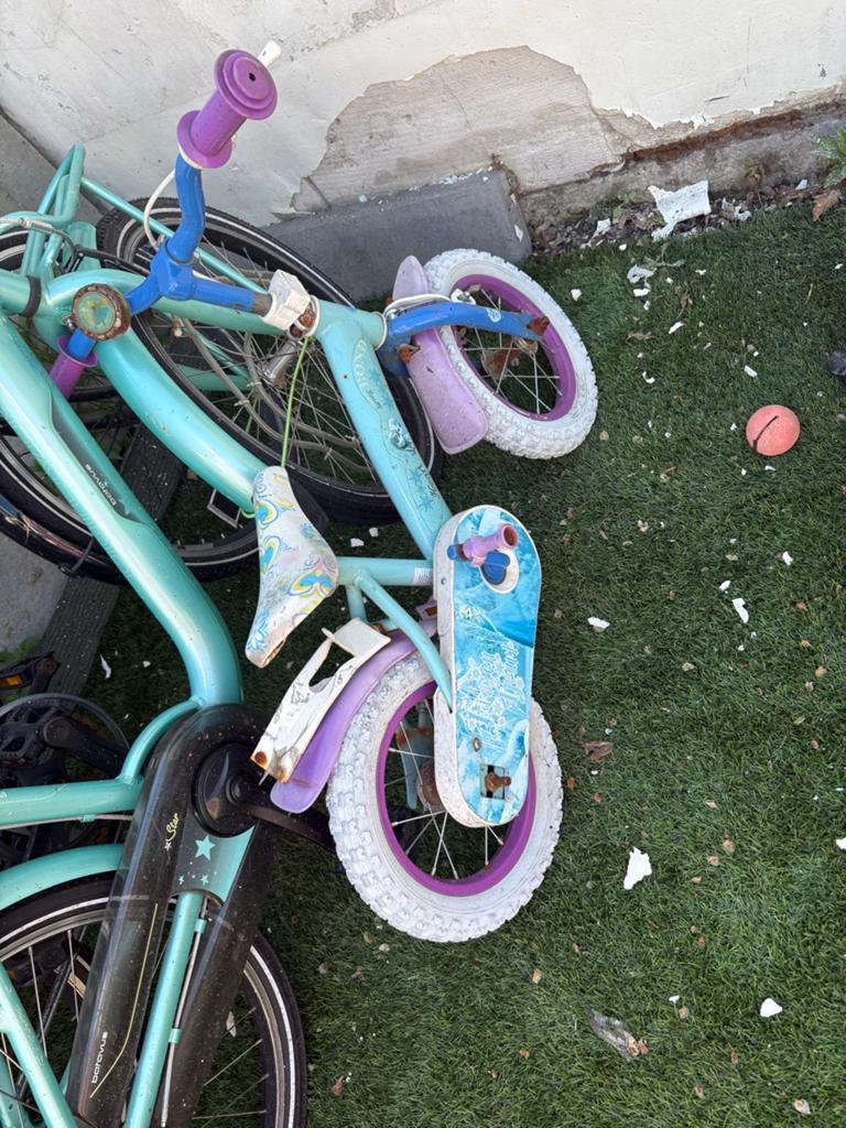 Kinderfiets - frozen, Ophalen, Terugtraprem, Zijwieltjes, Gebruikt