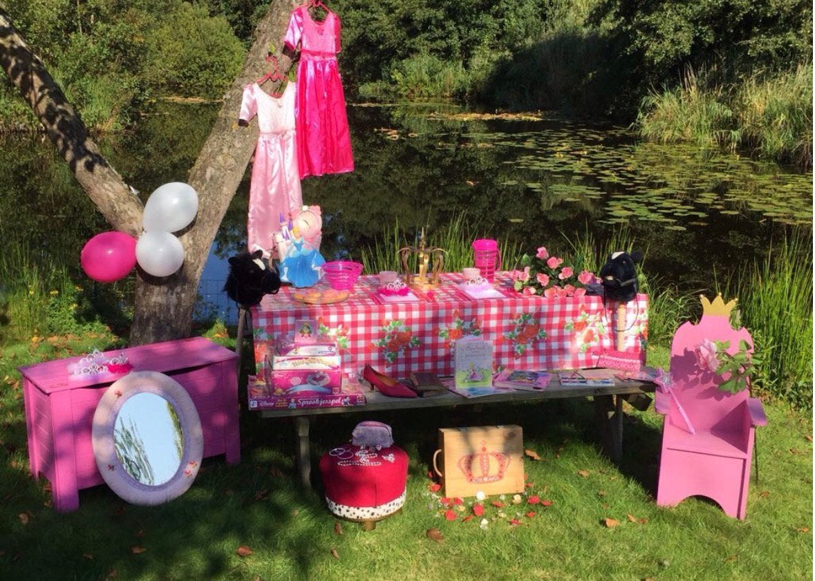 4 complete themakisten te koop voor een kinderfeestje!, Ophalen, Gebruikt