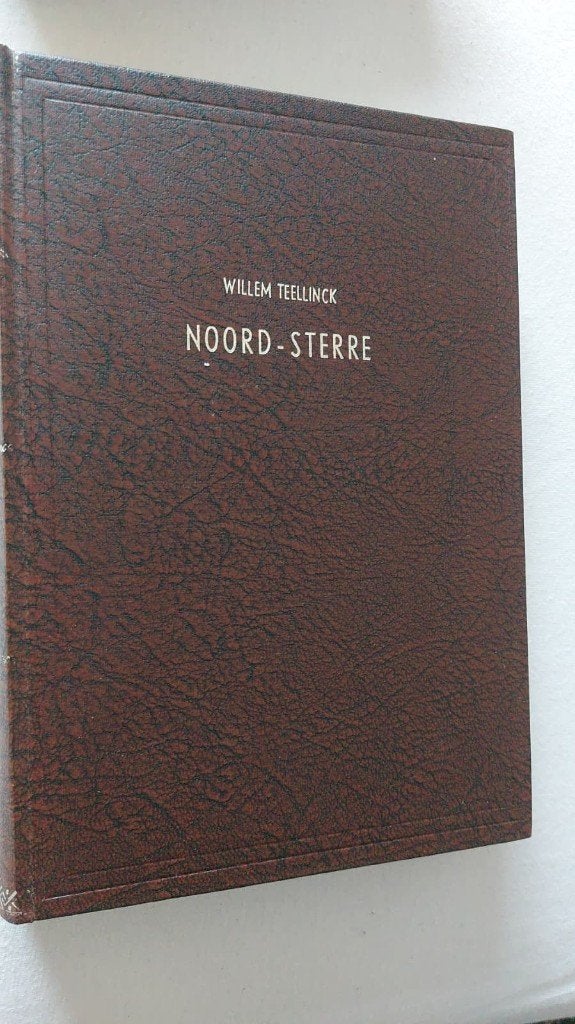 Ds. W. Teellinck Noordsterre, Christendom | Protestants, Ophalen of Verzenden, Zo goed als nieuw, Ds. W. Teellinck