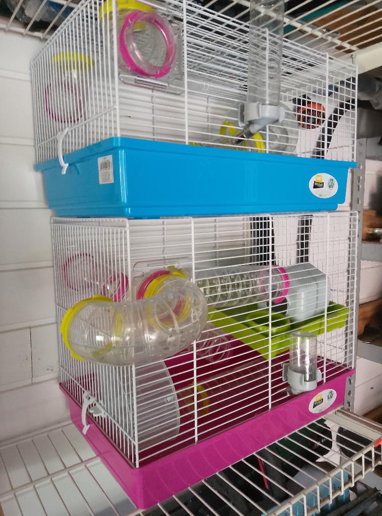 Hamsterkooien, Dieren en Toebehoren, Knaagdieren en Konijnen | Hokken en Kooien, Kooi, Gebruikt, Minder dan 75 cm, Hamster