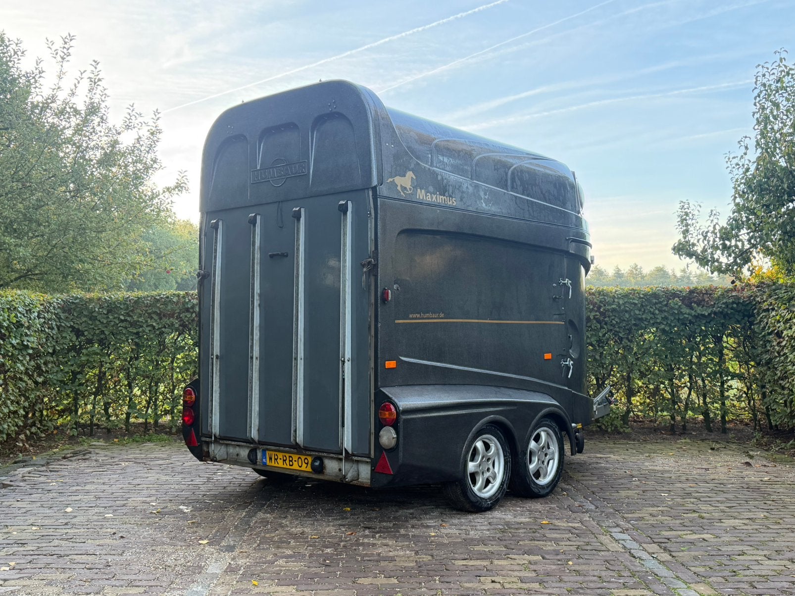Ruime humbaur maximus met zadelkamer en aluminium bodem, Ophalen, Zo goed als nieuw, 2-paards trailer, TT paardentrailers