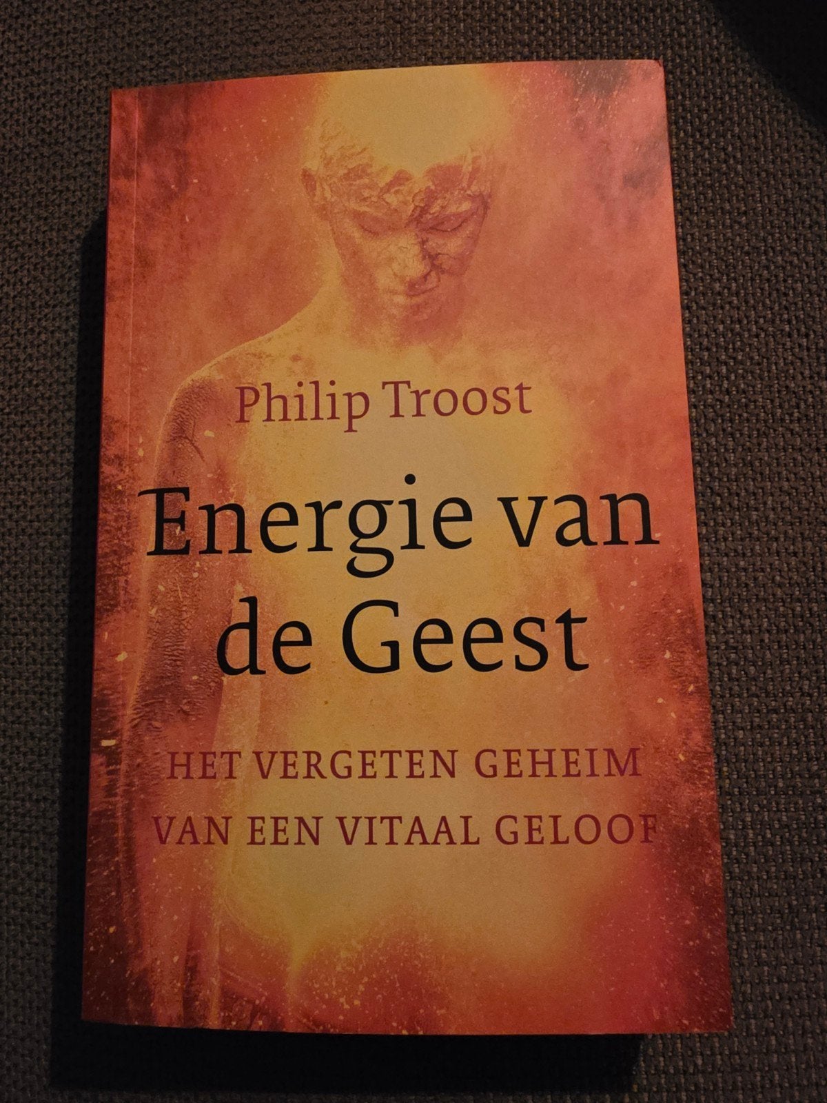 Philip Troost - Energie van de Geest - nieuw, Ophalen of Verzenden, Nieuw, Philip Troost