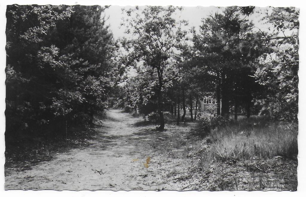 Loon op Zand Het Kraanven  gelopen   ansichtkaart  ( B8148), Ophalen of Verzenden, 1960 tot 1980, Gelopen