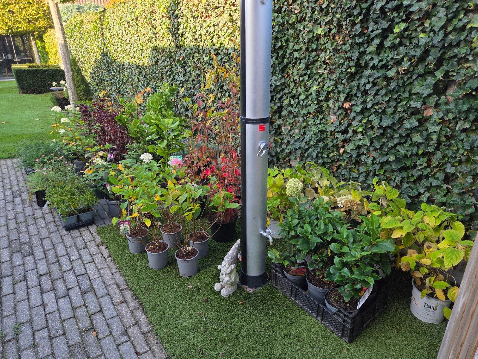 Restpartij tuinplanten A kwaliteit, Ophalen, Overige soorten, Halfschaduw