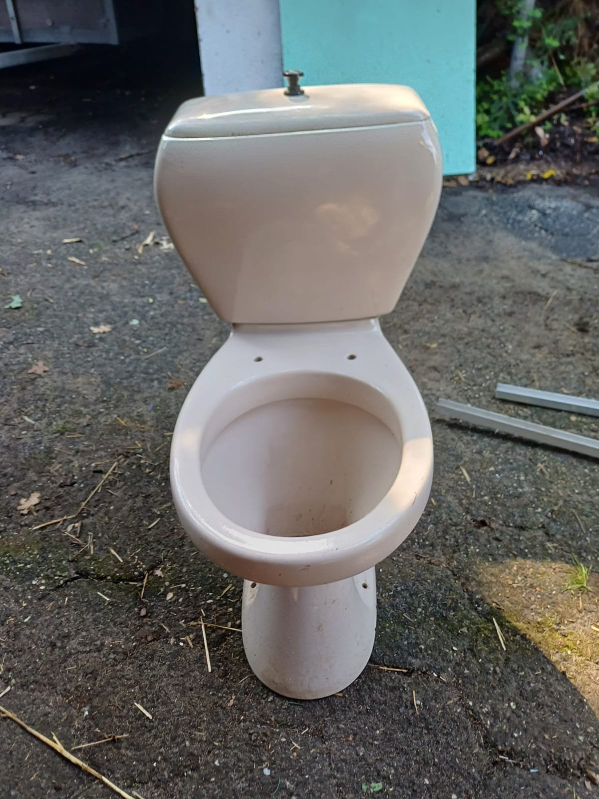 Duoblok wc-pot (vintage), Ophalen, Zo goed als nieuw, Toilet