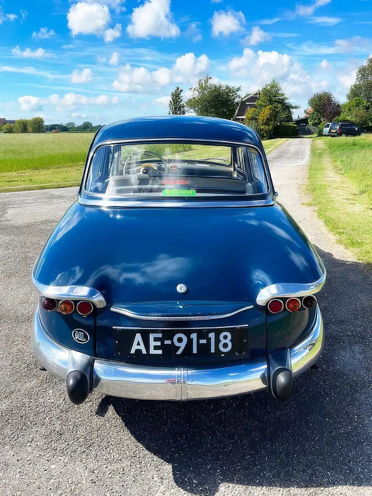 Panhard 1959 Blauw, foto 3