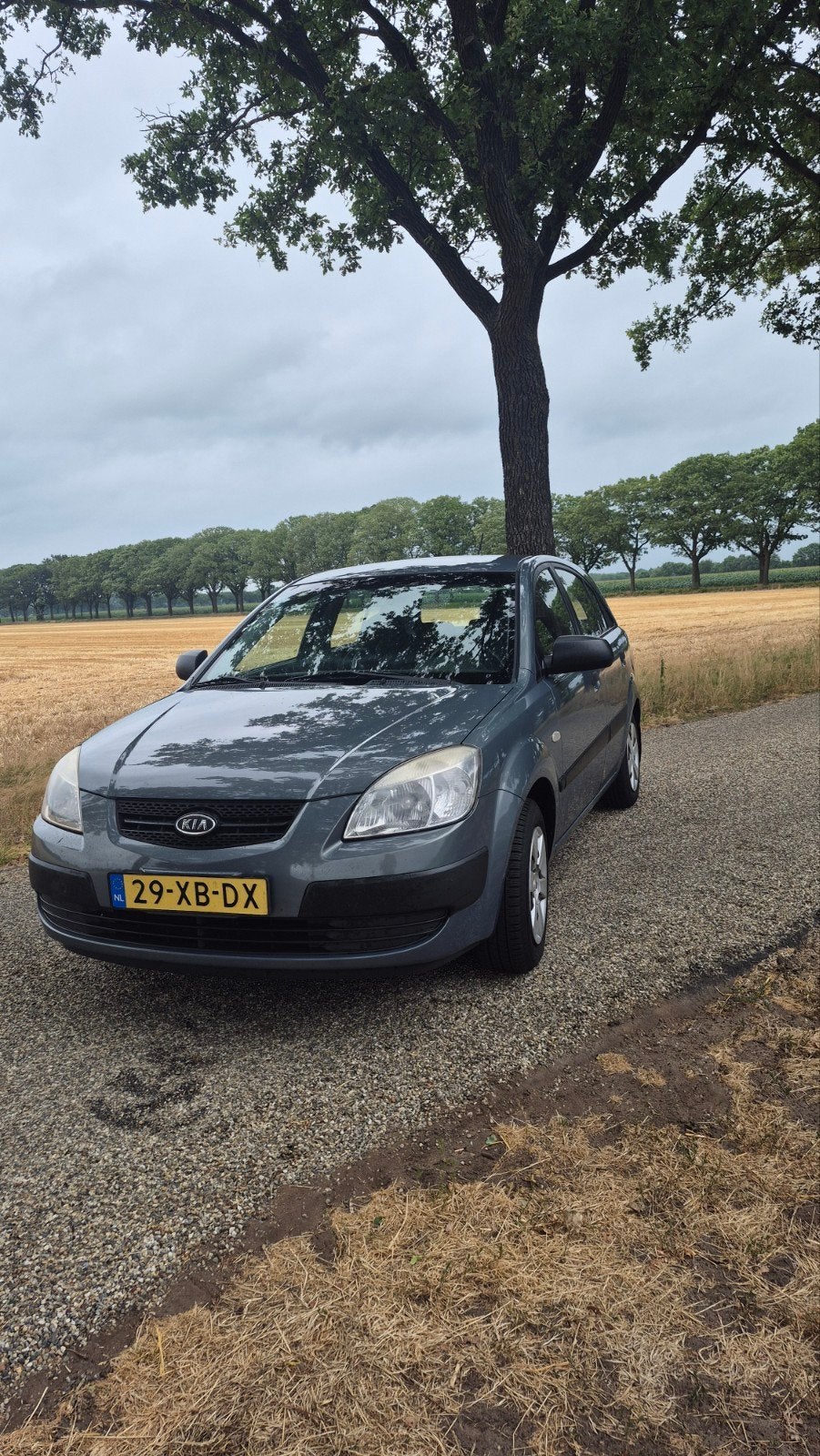 Kia Rio 1.4 HB 2007 Grijs, Auto's, Voorwielaandrijving, 4 cilinders, 1054 kg, 49 €/maand