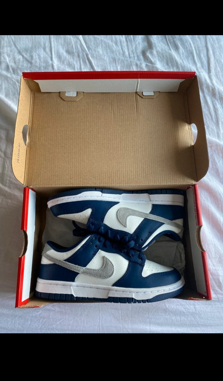 Nike Dunk Low - Nieuw in doos, Nike, Verzenden, Blauw, Sneakers of Gympen