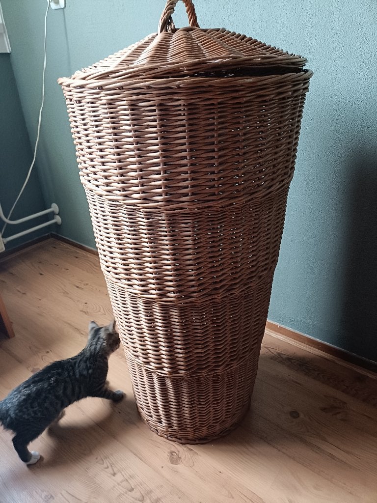 Wasmand, Ophalen, Zo goed als nieuw, Bruin