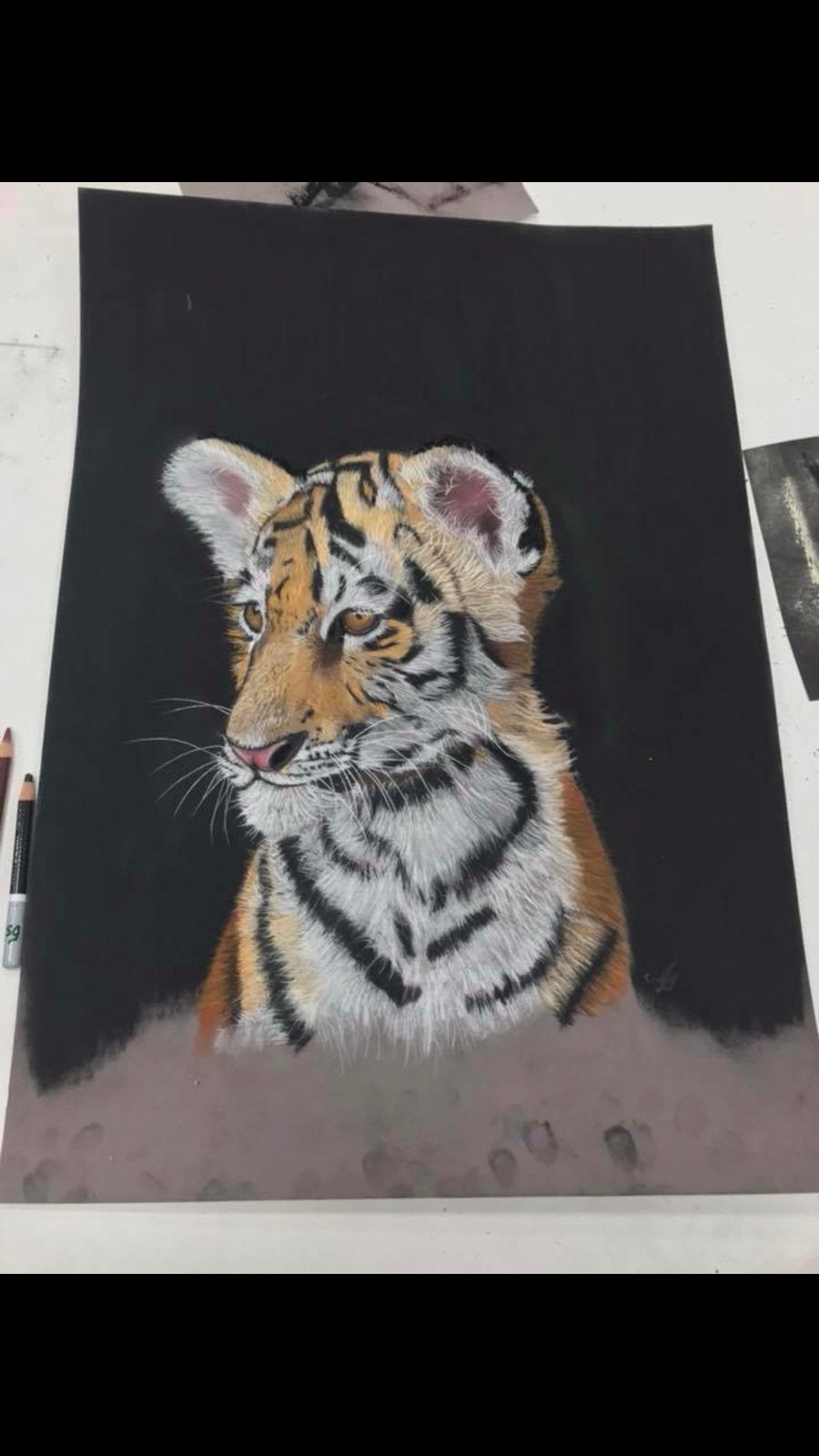 Pastel werkjes te koop, Ophalen of Verzenden, Zo goed als nieuw, Minder dan 50 cm, Schilderij