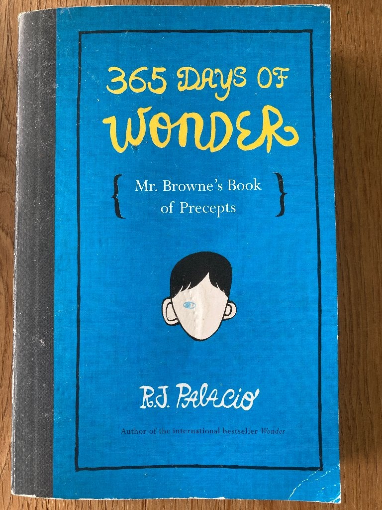 365 days of wonder RJ Palacio, Ophalen of Verzenden, Gelezen, Palacio