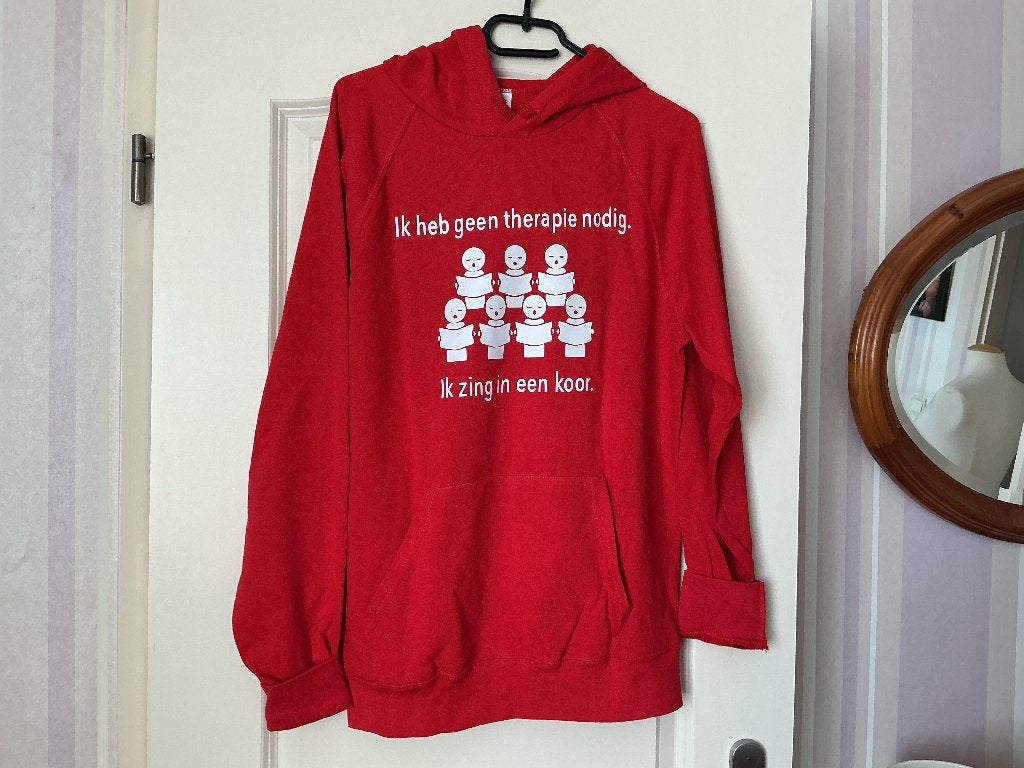 Rode hoody met leuke tekst van Fruit of the Loom. Maat M, Maat 38/40 (M), Fruit of the Loom, Ophalen of Verzenden, Zo goed als nieuw