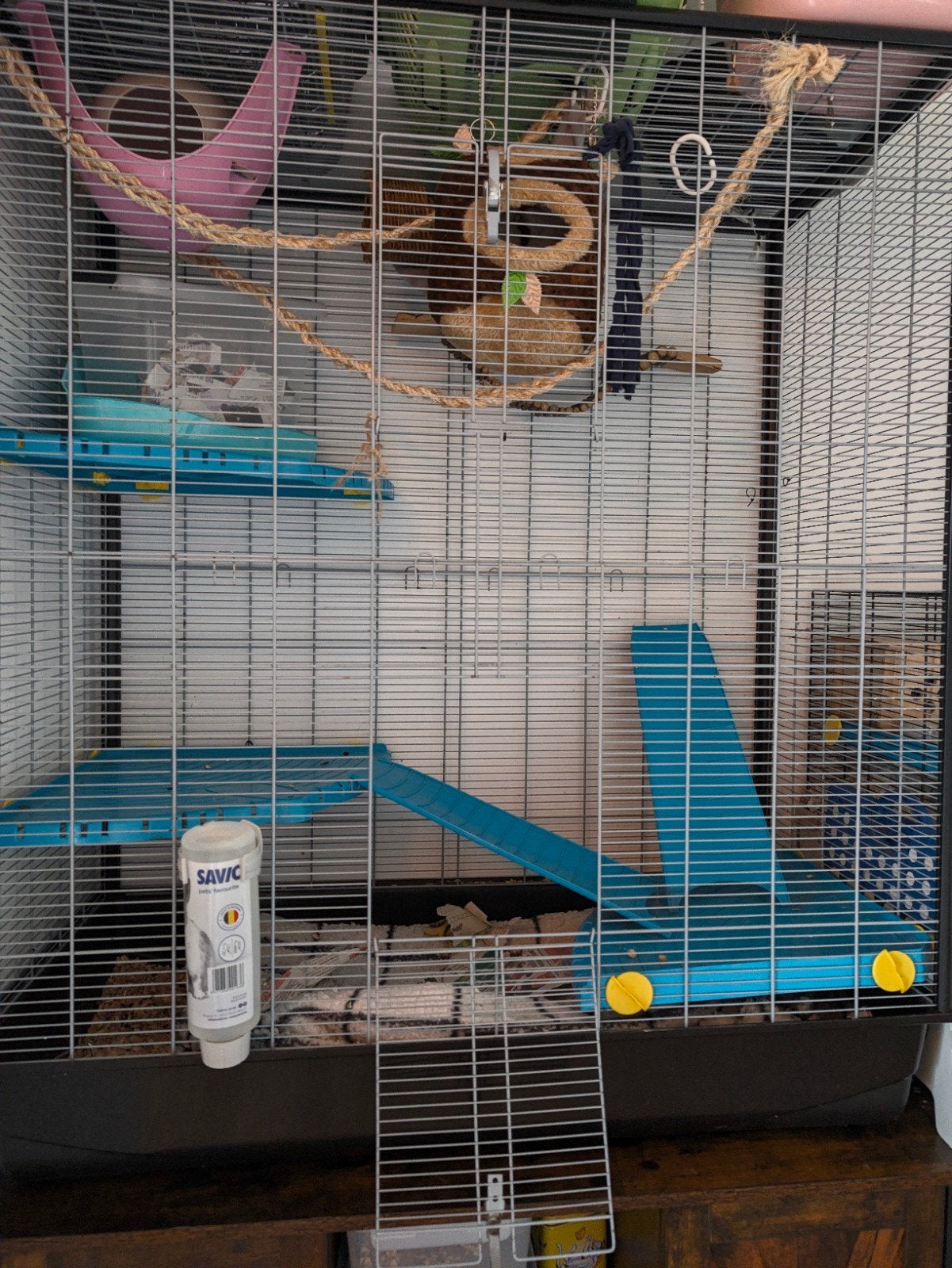 rattenkooi gratis, Dieren en Toebehoren, Ophalen, Gebruikt, 90 cm of meer, 75 tot 110 cm
