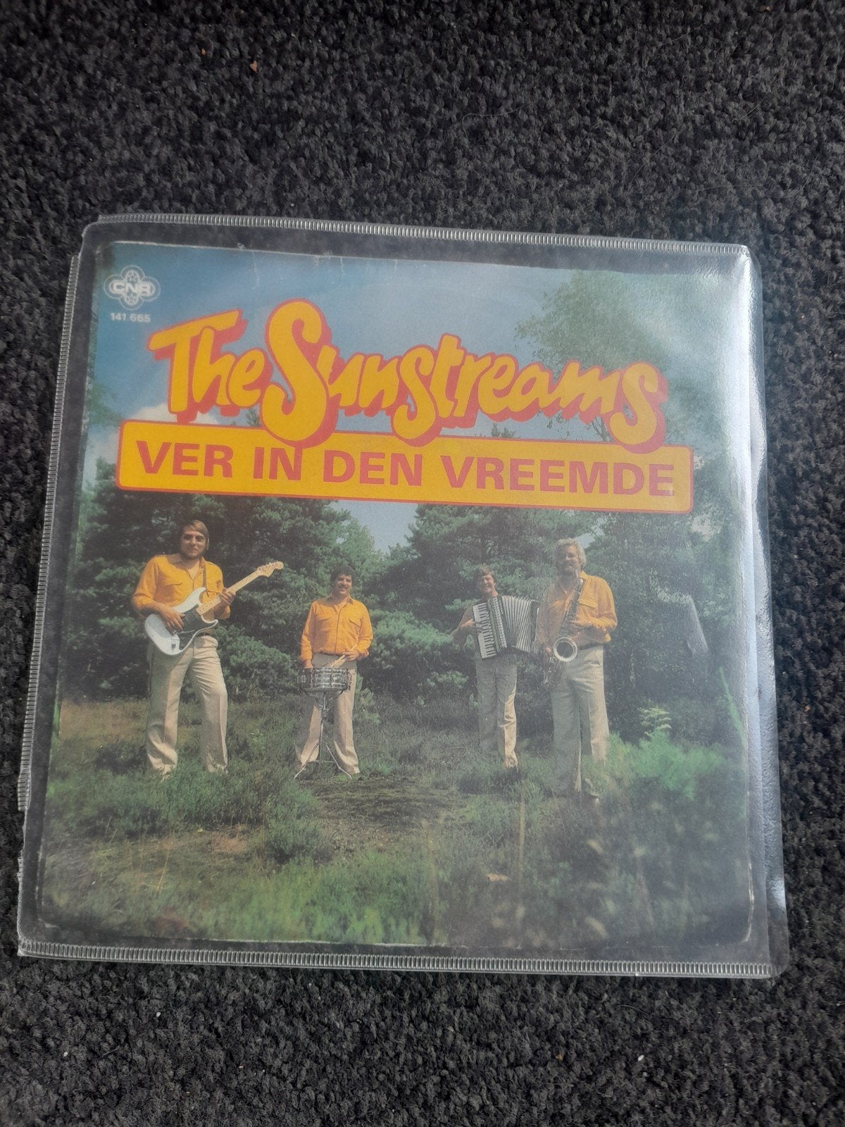 The Sunstreams Ver in Den vreemde, Cd's en Dvd's, Ophalen of Verzenden, Zo goed als nieuw, Nederlandstalig