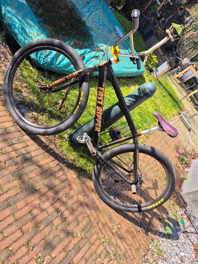 Mooie SE Bike 29" fast ripper, Minder dan 10 versnellingen, Heren, Aluminium, Schijfrem