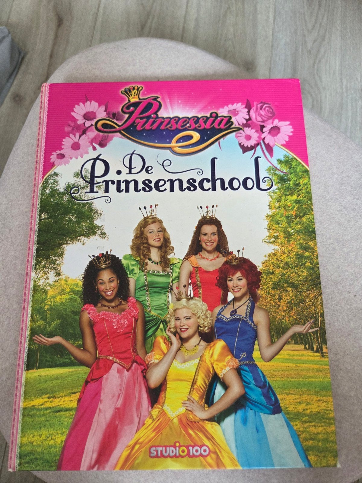 Prinsessia: De Prinsenschool - Studio 100 Boek, Ophalen of Verzenden, Zo goed als nieuw, Studio 100, Fictie