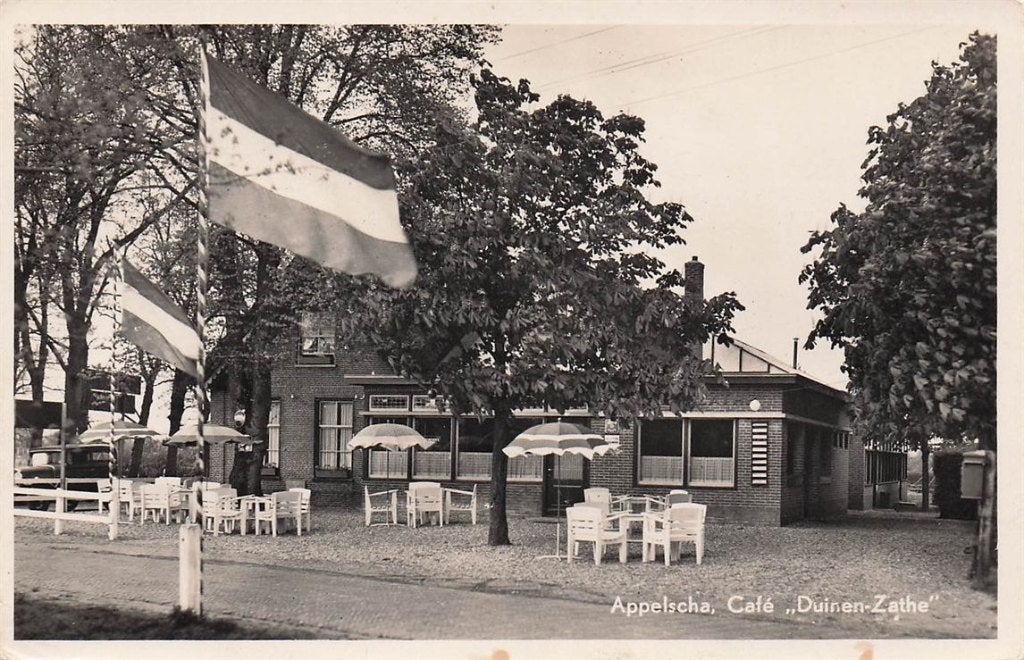 703-029-021 Appelscha Café Duinen-Zathe, Verzenden, Voor 1920, Friesland