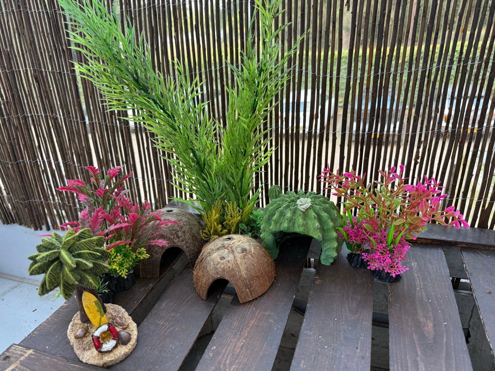 Aquariumdecoratie met planten en schuilplaatsen, Ophalen, Plant(en), Steen of Hout