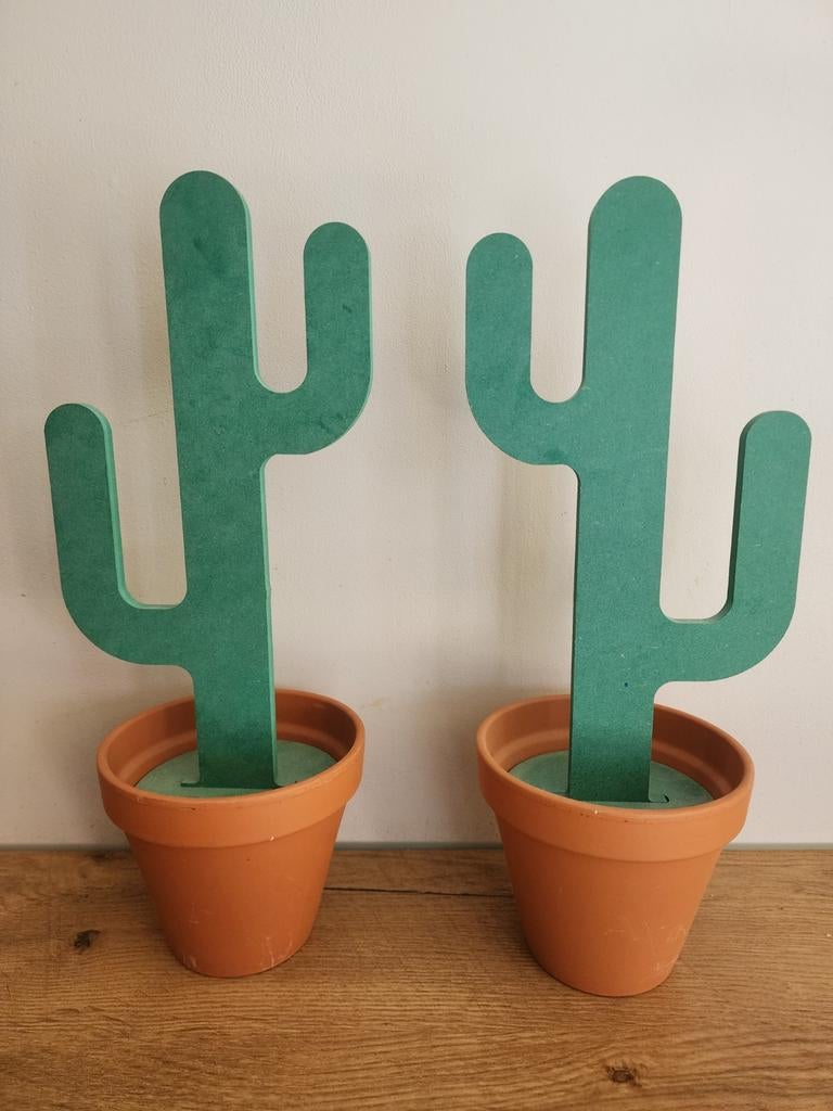 Decoratie cactussen, Ophalen