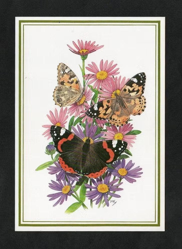 Insecten Vlinders Distelvlinder Atalanta Asters., Ophalen of Verzenden, 1980 tot heden, Ongelopen, Overige soorten