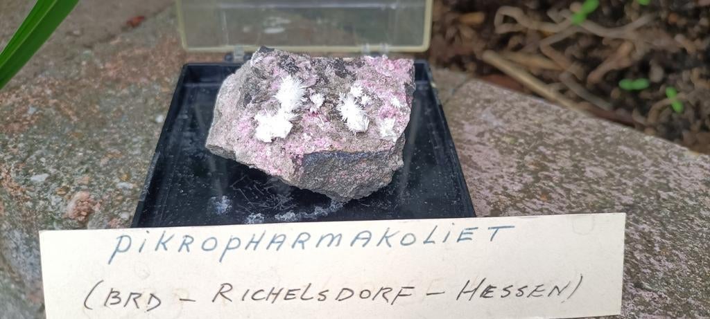Picropharmacoliet, Ophalen of Verzenden