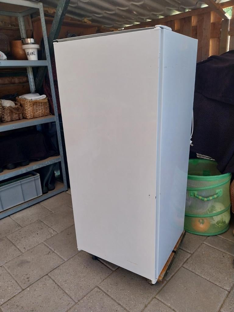 Te huur Witte koelkast te huur. ., Witgoed en Apparatuur, Koelkasten en IJskasten, Ophalen
