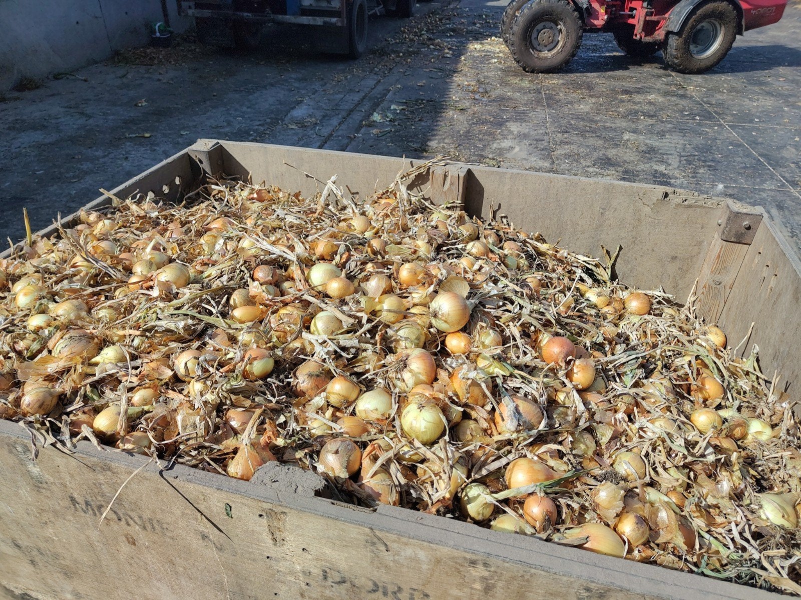 Bulk actie gele uien, Ophalen of Verzenden