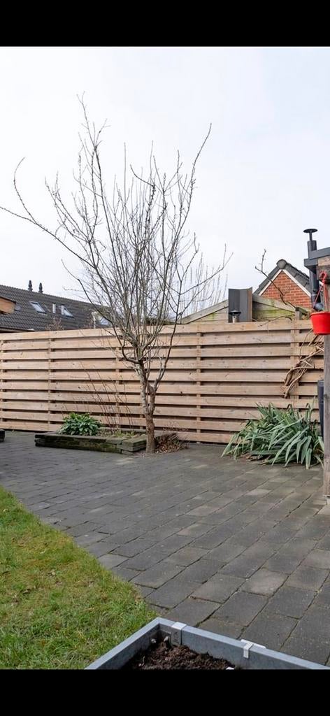 Tuintegels beton, Tuin en Terras, Ophalen, Gebruikt, Beton, Terrastegels