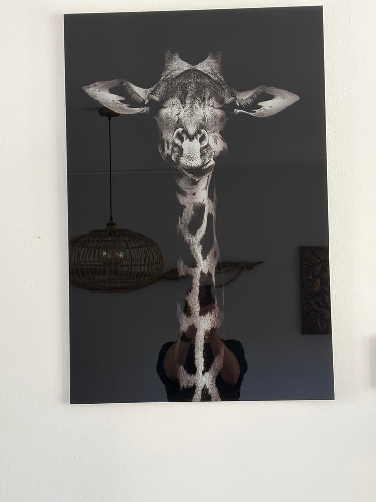 Glazen afbeelding van een giraf - 60x90 cm, Ophalen, Zo goed als nieuw, 75 tot 100 cm, Print