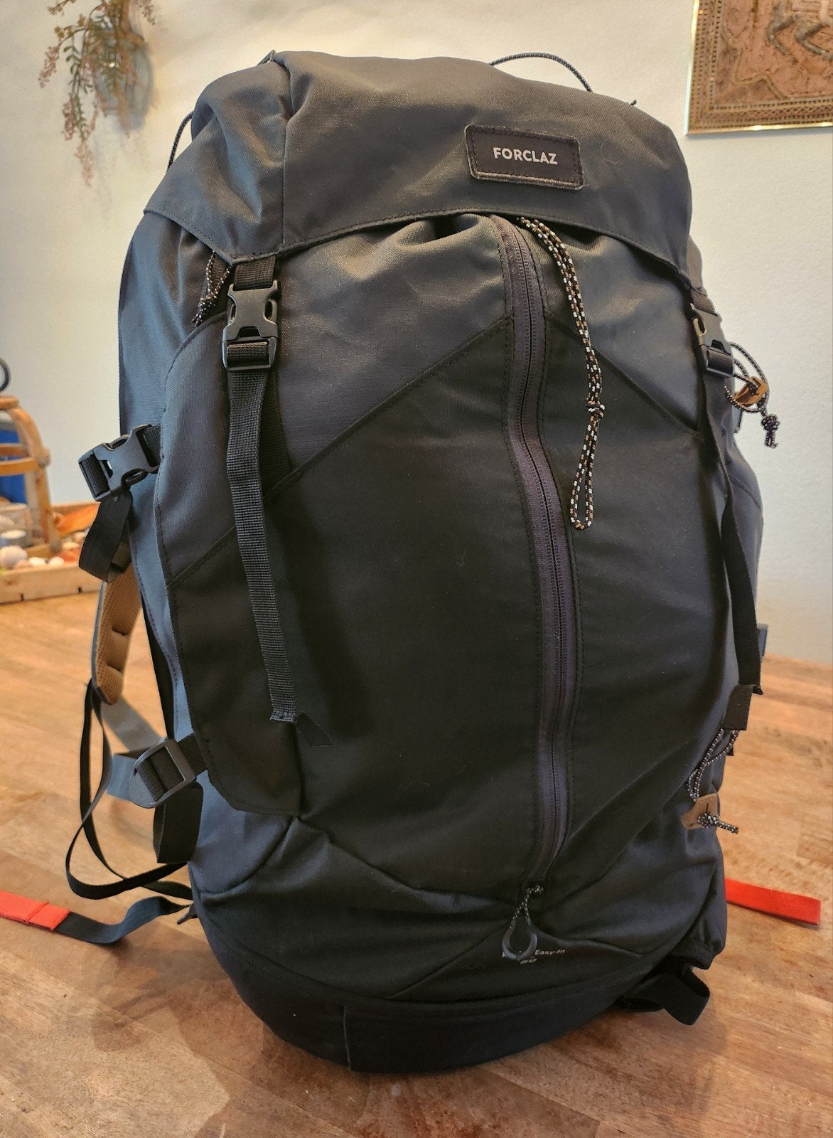 Decathlon Forclaz MT100 Easyfit 50L Trekkingrugzak, Ophalen, Zo goed als nieuw, Rugzak