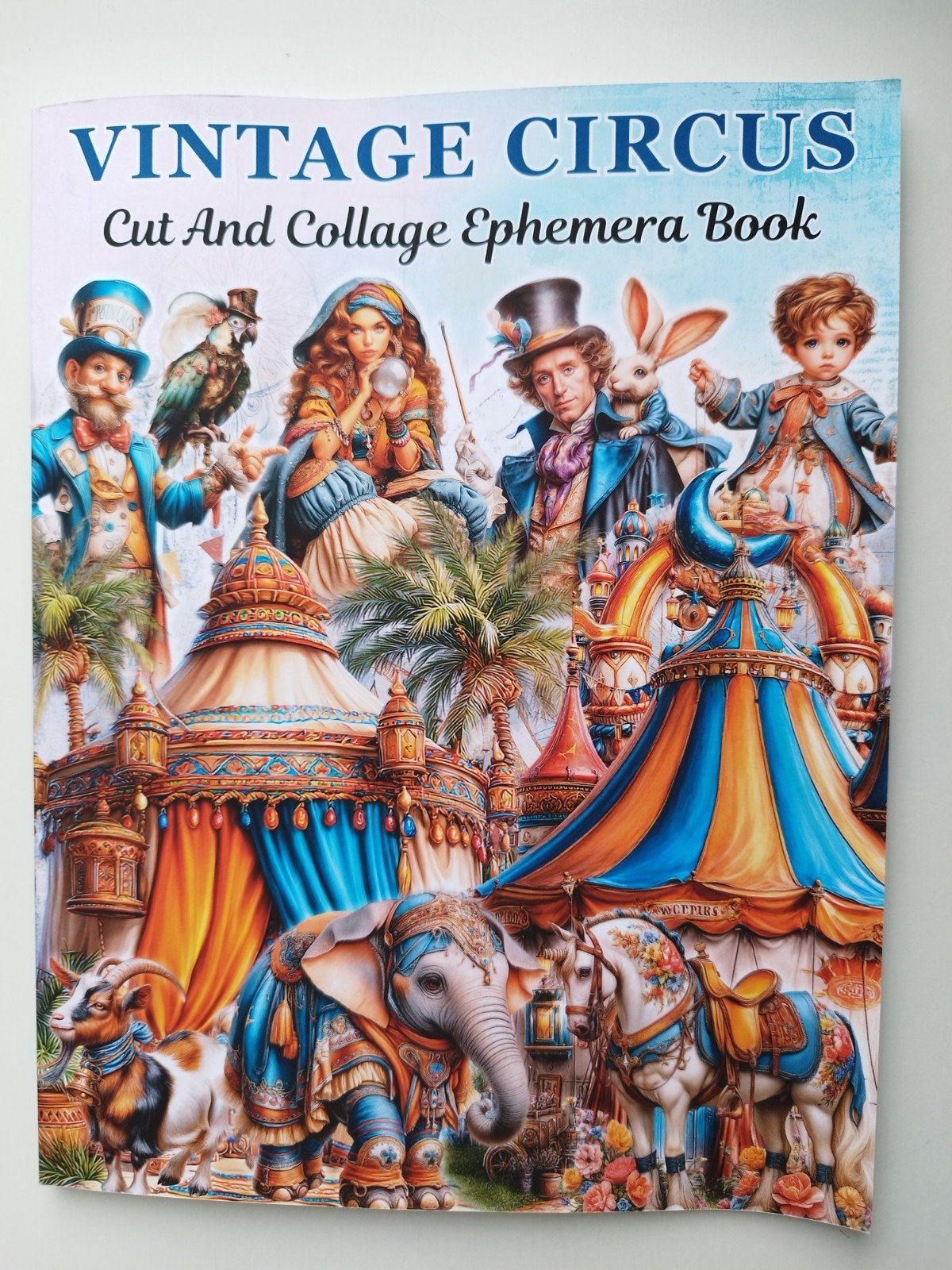 Cut and collage Ephemera book VINTAGE CIRCUS, Nova Everhart, Ophalen of Verzenden, Nieuw, Overige thema's, Overige typen