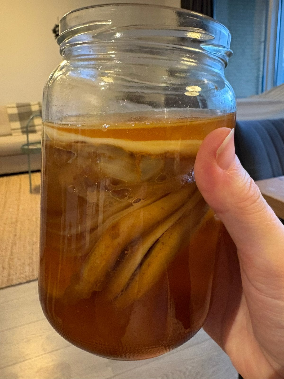 Kombucha scobys, Diversen, Levensmiddelen, Ophalen
