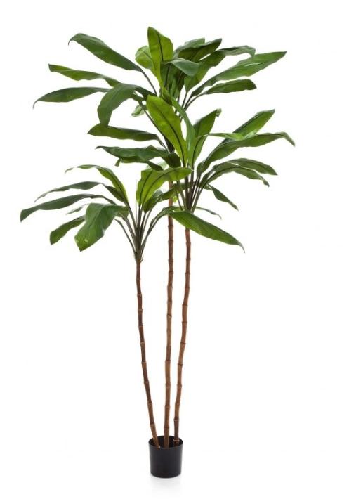 210 Cm Cordyline Fructicosa kunstplant, Ophalen, Binnen, Groen, Kunstplant
