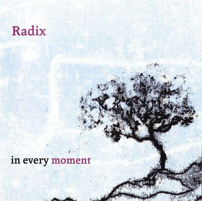 SALE--CD RADIX-In Every Moment-Focolare Movement >NIEUW, Verzenden, Nieuw in verpakking, Gospel