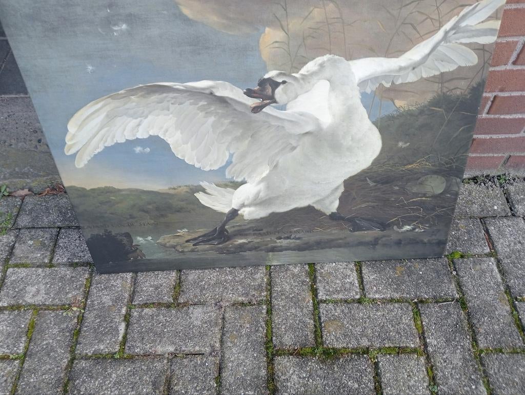Schilderij met Zwaan, Antiek en Kunst, Kunst | Schilderijen | Klassiek, Ophalen
