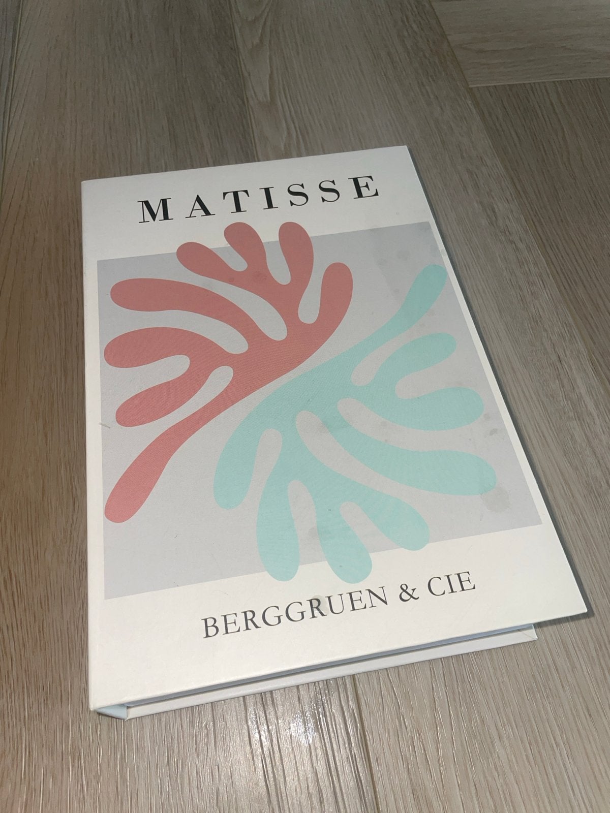 Matisse Berggruen & Cie decoratieboek, Ophalen, Meerkleurig, Zo goed als nieuw, Modern