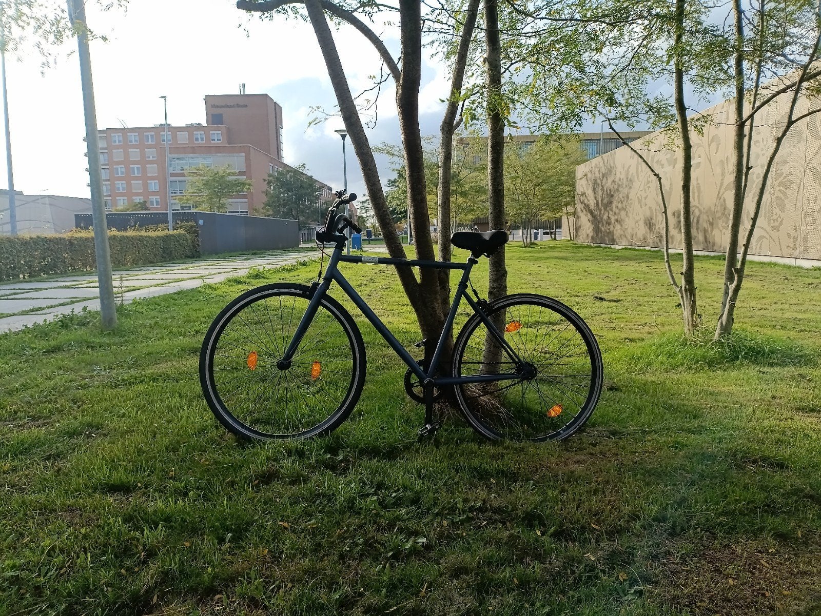 Elops Speed 500 (Decathlon) - Single Speed / Fixie (Maat L)