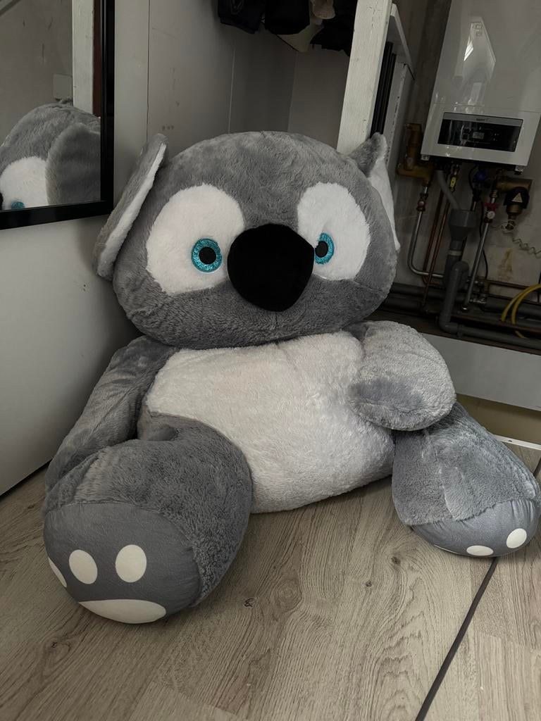 Grote koala knuffel, Ophalen, Overige typen, Grijs, Zo goed als nieuw