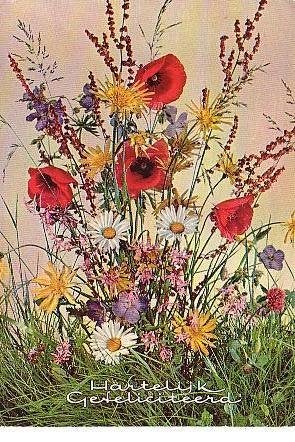 Ansichtkaart 	Bloemen	Veldboeket, Verzenden, 1960 tot 1980, Gelopen, Natuur