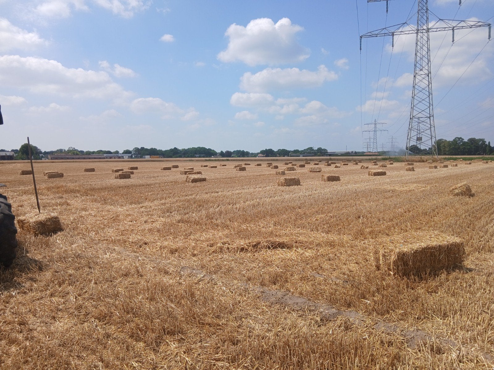 Mooie kleine balen tarwe stro oogst 2026, Dieren en Toebehoren, Ophalen, Vee