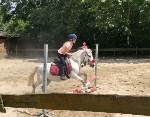 Verzorg/bijrijd pony gezocht/ bijrijder aangeboden, Ophalen of Verzenden