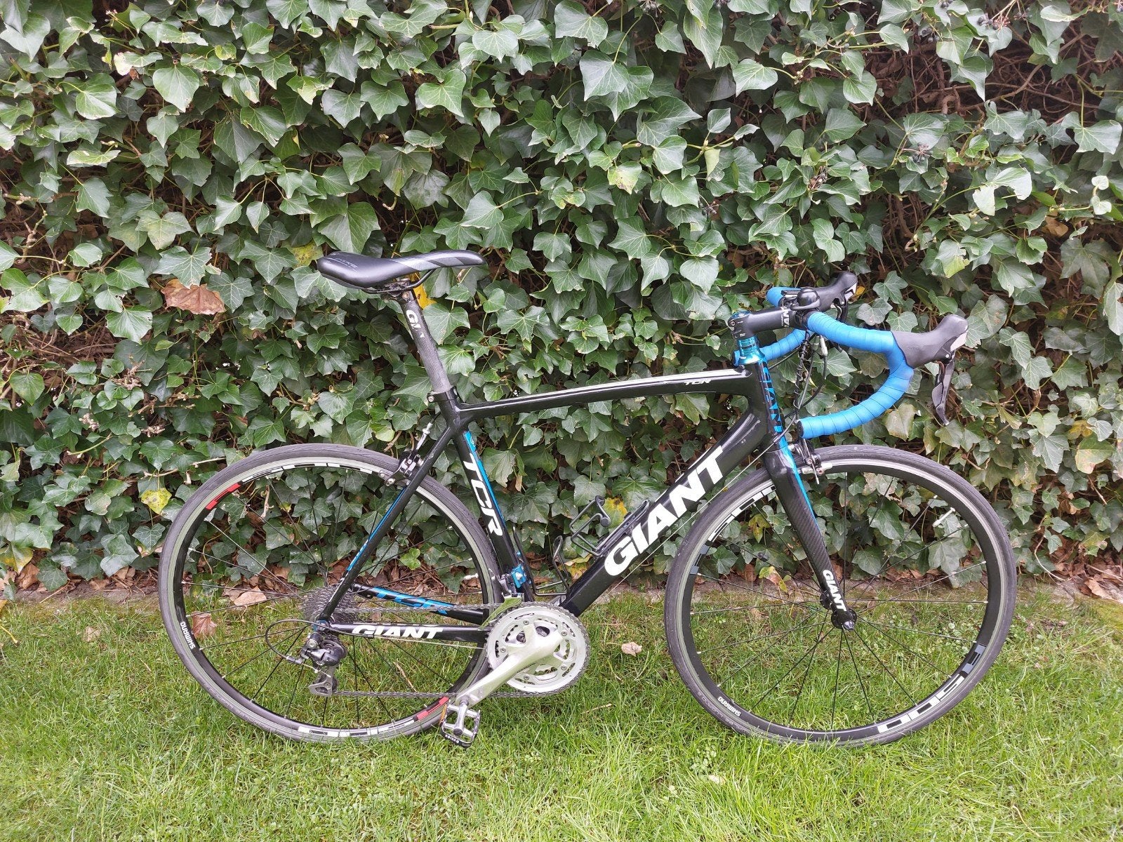 Giant TCR Racefiets - Zwart/Blauw, Ophalen, 28 inch, Gebruikt, Aluminium