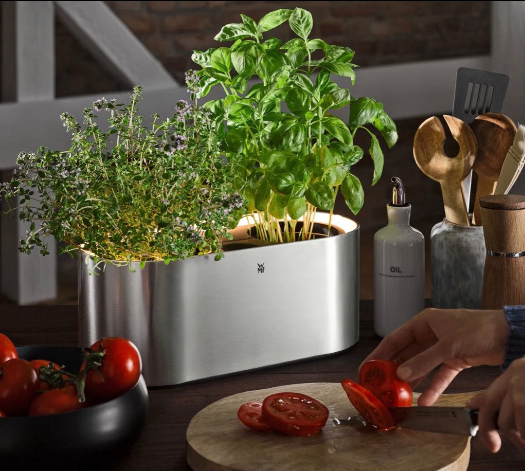 WMF Kruidenpot Ambient Herbs * nieuw in doos, Kunststof, Rond, Nieuw, Ophalen of Verzenden