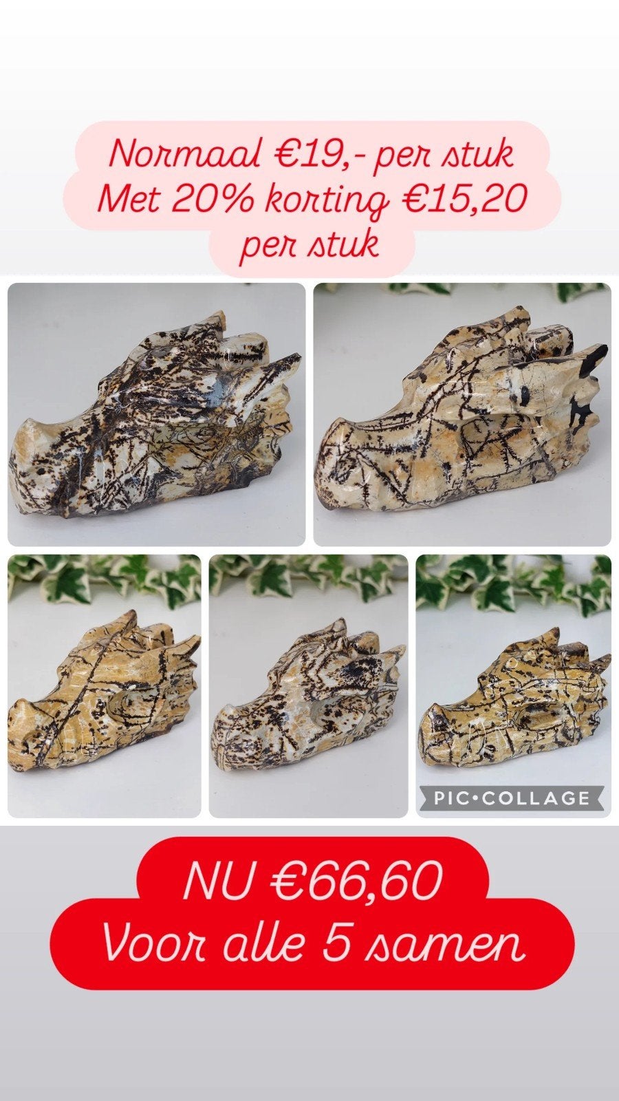 MEGA DEAL 5 Dendriet jaspis draken, Ophalen, Mineraal